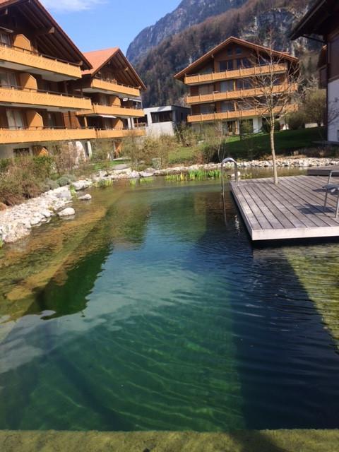 Switzerland Iseltwald Apartment Luaran gambar